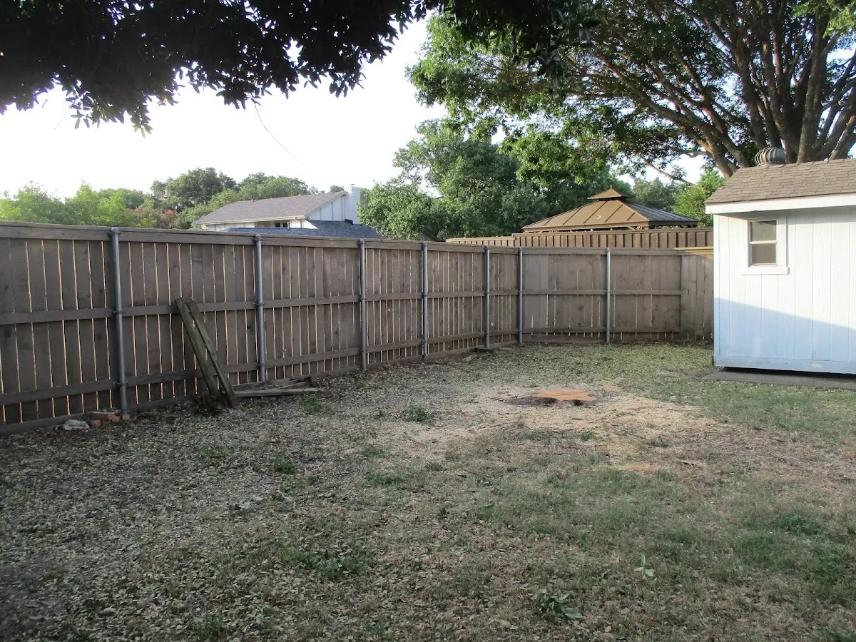 Cleared yard after professional tree removal in Suwanee